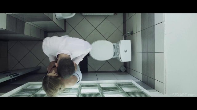 Превью Клиент оттрахал сексуальную официантку в туалетной кабинке № 35054