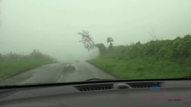 Превью Случайная попутчица минетит водителю в машине, а перед этим дает потрогать свою киску № 39449